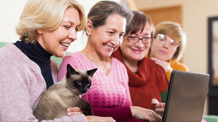 A group of women looking at a computer, with a cat